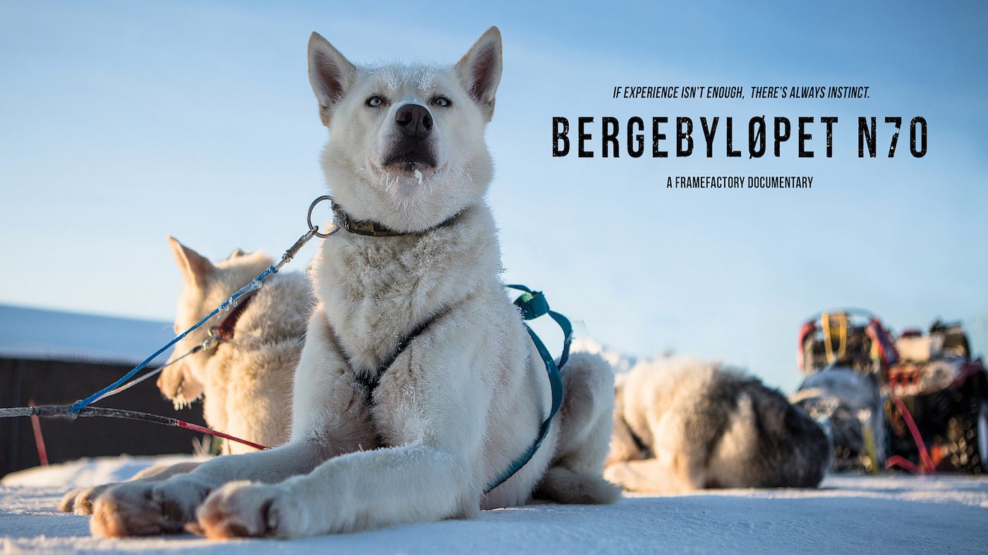 New Documentary Tracks Norway's Famed Sled Dog Race