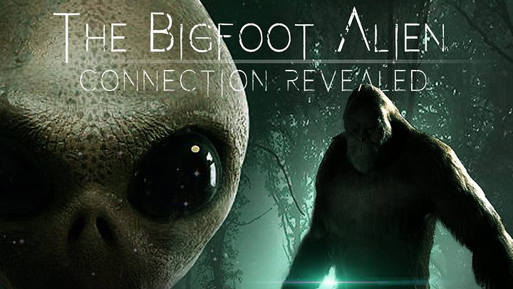 Bigfoot Phones Home