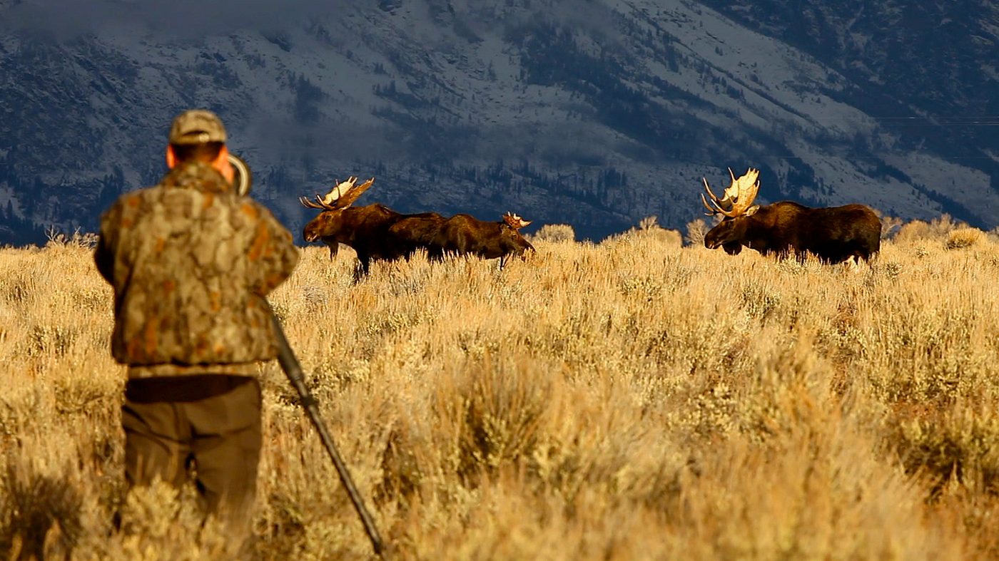 Premium TV of Moscow Picks Up New Season of 'Wild Photo Adventures'