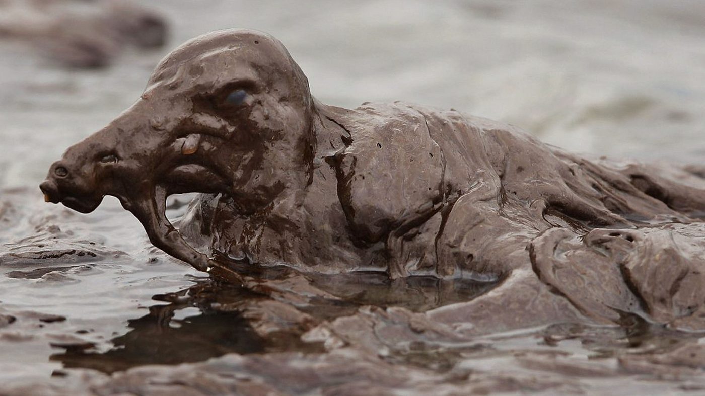 Untold Story of Gulf Oil Spill Coverup Set to Air Worldwide on Russia Today